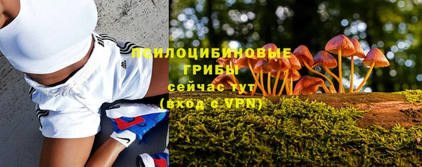 трава Арсеньев