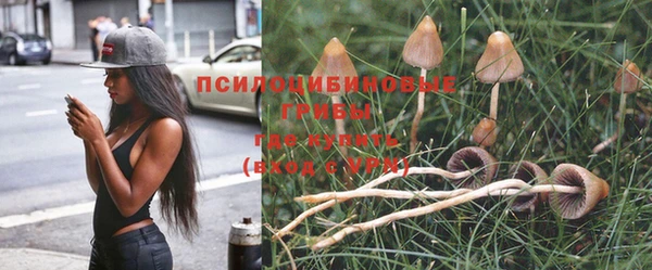 а пвп мука Аркадак