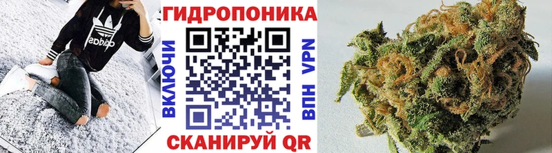 Бошки Шишки ГИДРОПОН  Самара 